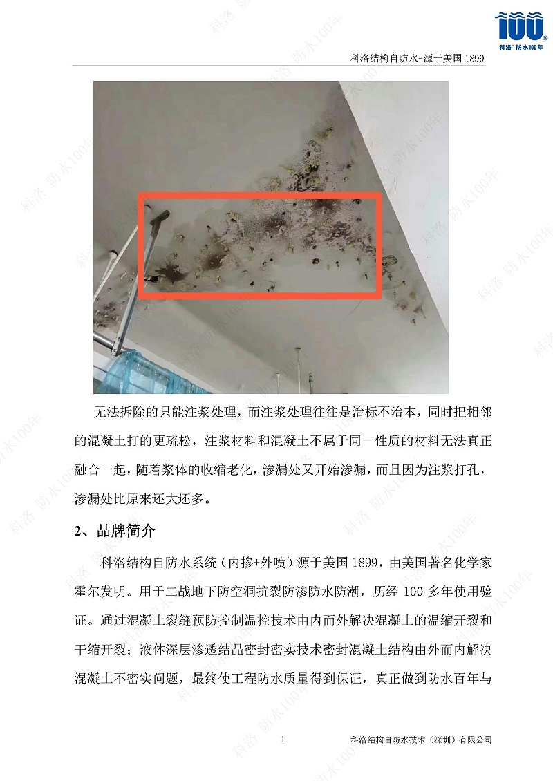 科洛結(jié)構(gòu)自防水施工技術(shù)方案20220606印_頁(yè)面_10